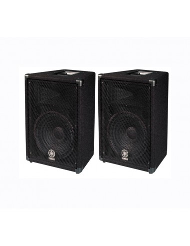 Br10 Bafles Pasivos De 10 250w C/u