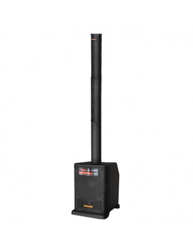 Ms-hf6500 Sistema Pa Sub Con Columna...